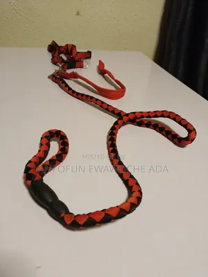 Dog Rope Leash