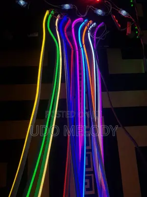 Neon Light 12 Volts
