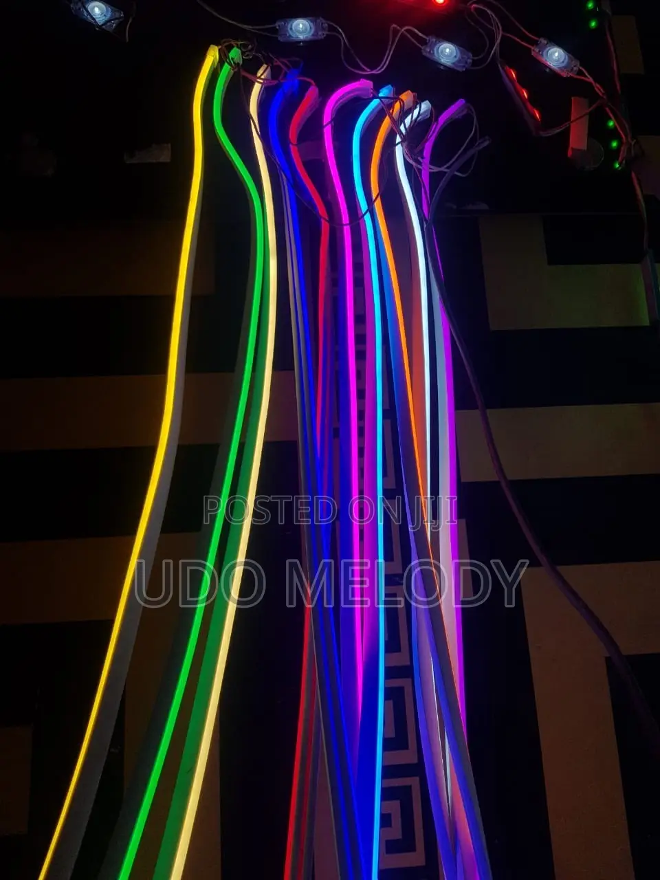 Neon Light 12 Volts