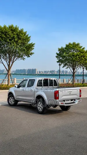 Great Wall Wingle 2019 Gray