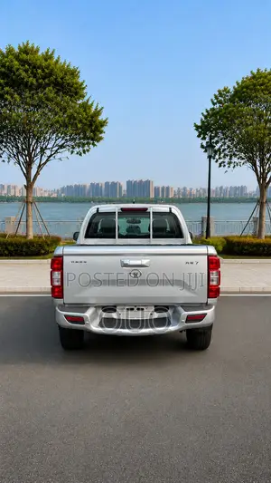 Great Wall Wingle 2019 Gray