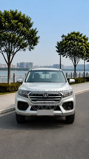 Great Wall Wingle 2019 Gray