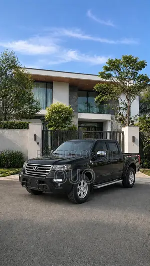 Great Wall Wingle 2020 Black