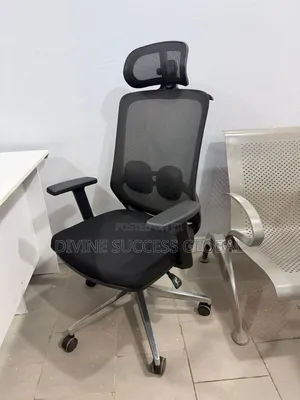 Top Quality Ergonomic and Orthopedic Office Chair With Headrest