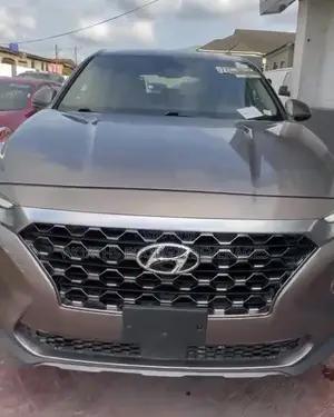 Hyundai Santa Fe 2019 Brown