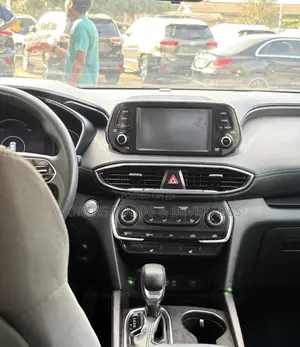 Hyundai Santa Fe 2019 Brown