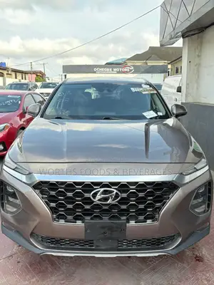 Hyundai Santa Fe 2019 Brown