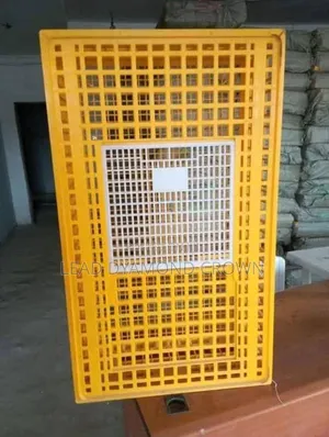 Birds Transfer Crates