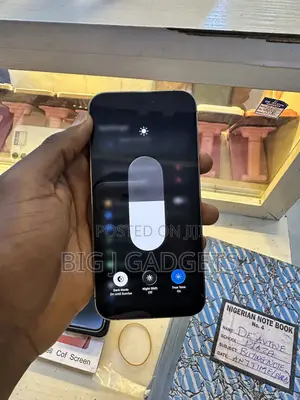 Apple iPhone 15 Pro 256 GB Silver