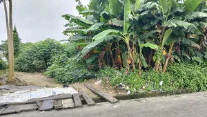 For Sale : 10 Plots , 1 Pole Off Major Sars Road, Ph
