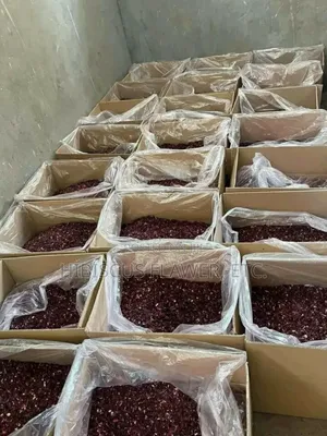 Shiftting Hibiscus Zobo
