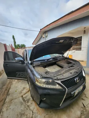 Lexus RX 2011 Gray