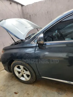 Lexus RX 2011 Gray