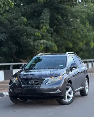 Lexus RX 350 2010 Brown