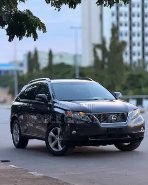 Lexus RX 350 2010 Brown