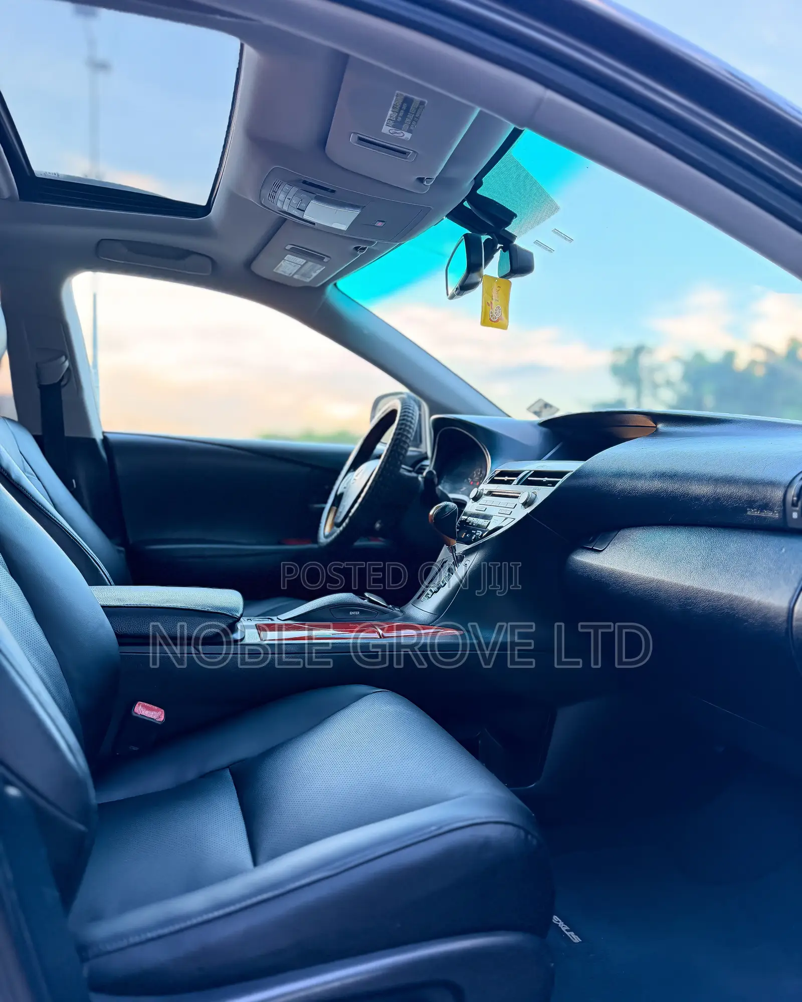 Lexus RX 350 2010 Brown
