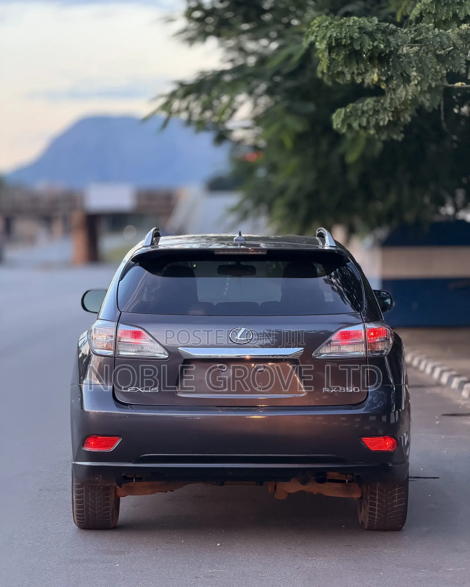 Lexus RX 350 2010 Brown