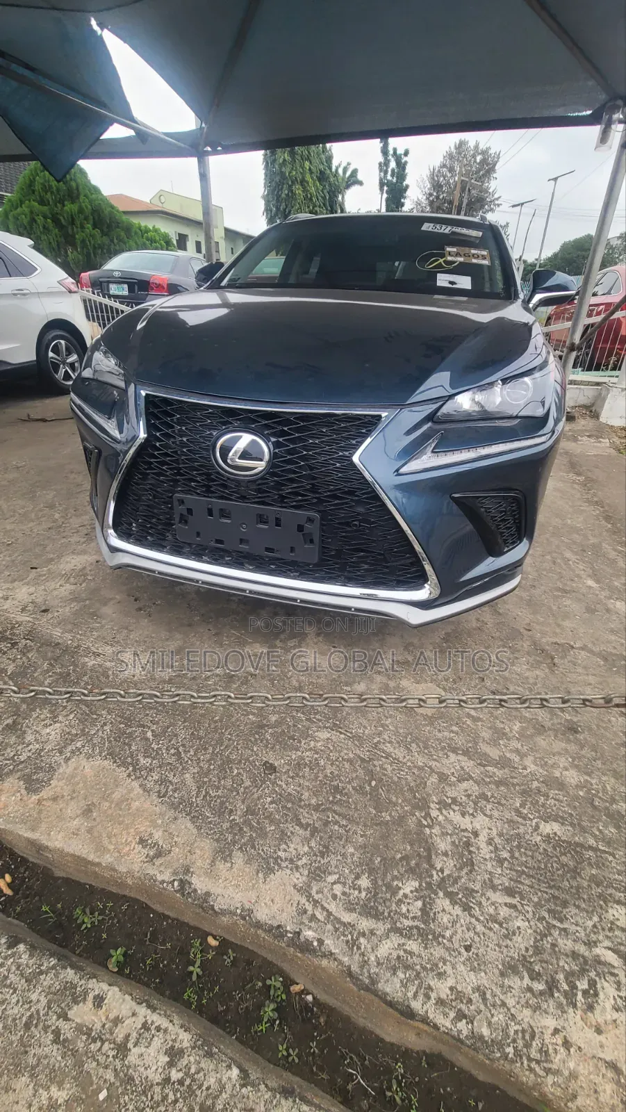 Lexus NX 2016 Green