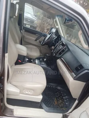 Mitsubishi Pajero 2018 Gray