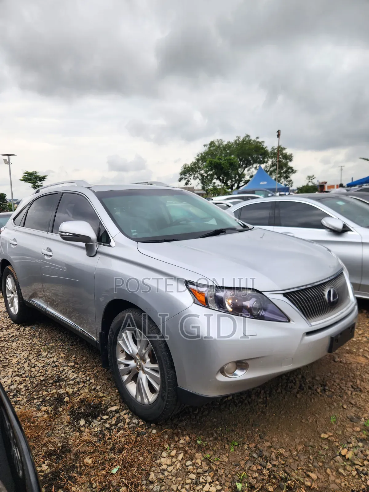 Lexus RX 2010 Silver
