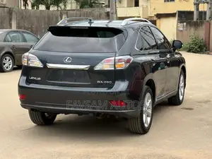 Lexus RX 350 2010 Gray