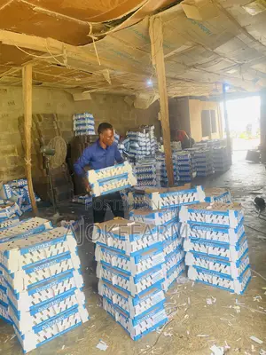 Poultry Farms and Equipment
