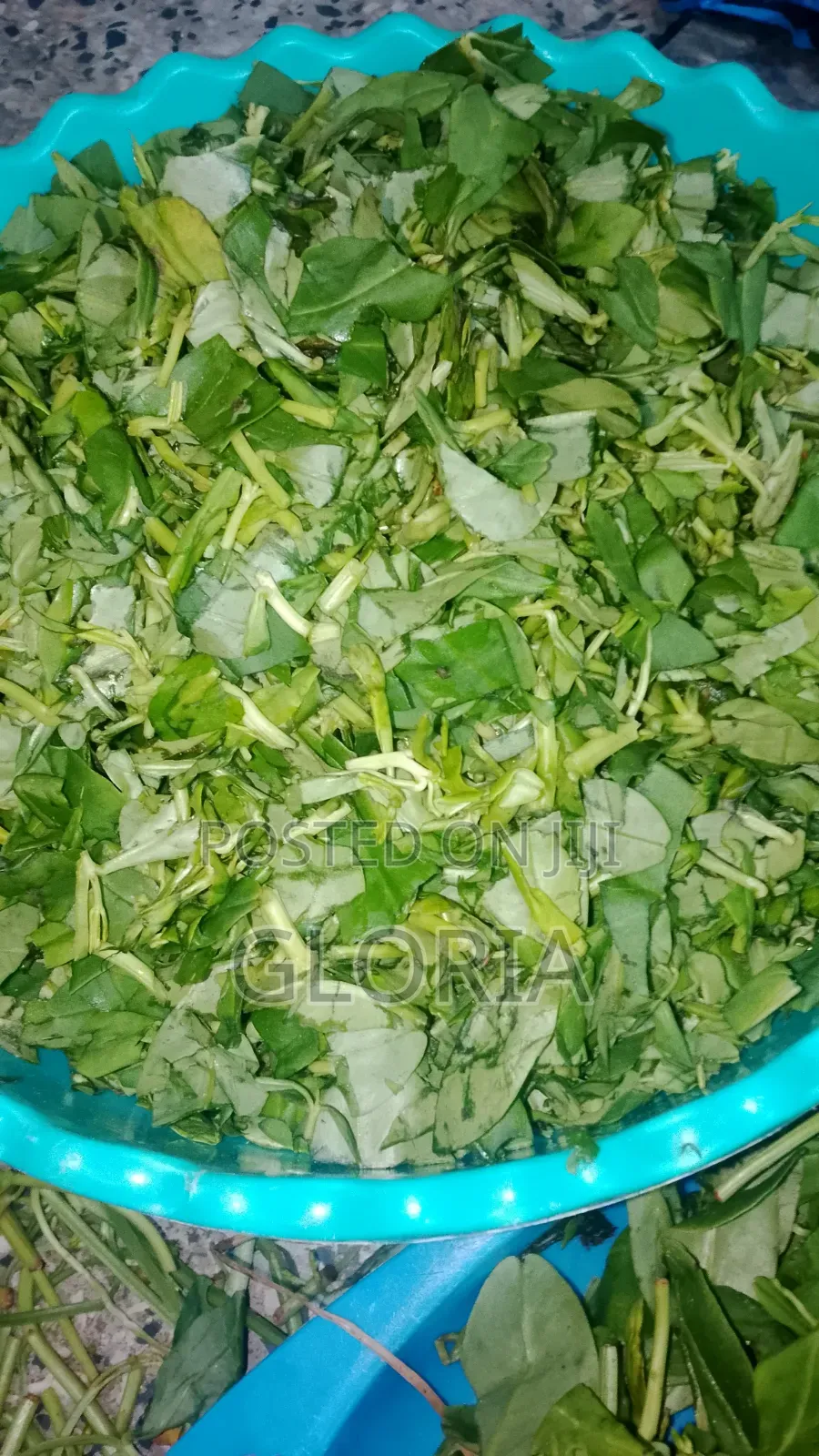 Wetarleaf (Vegetable)
