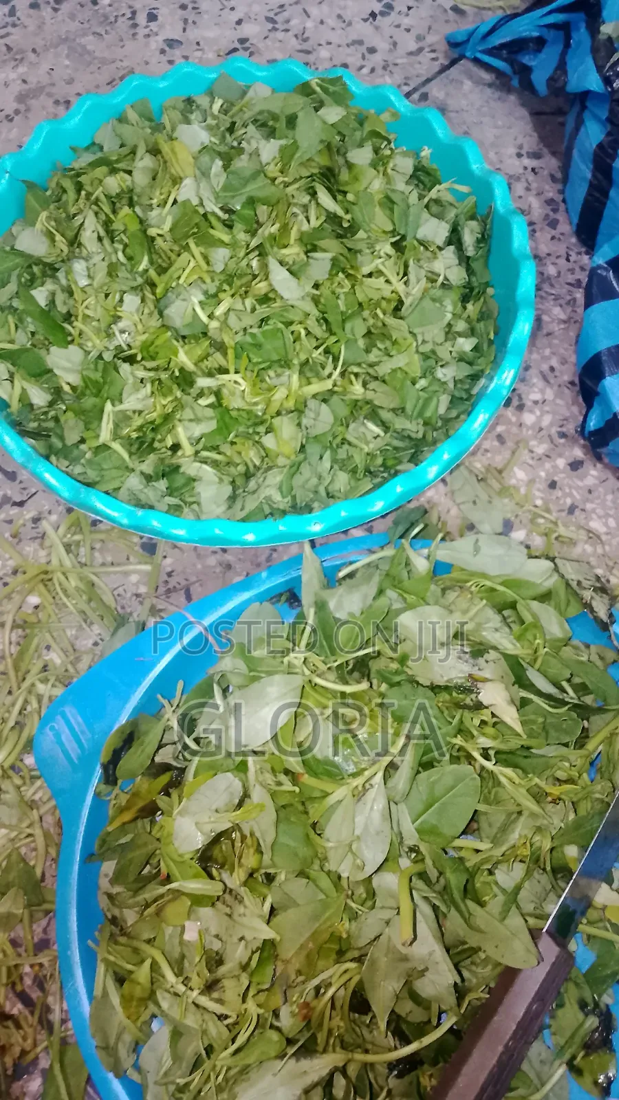 Wetarleaf (Vegetable)