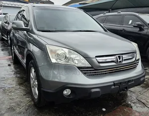 Honda CR-V 2010 Gray