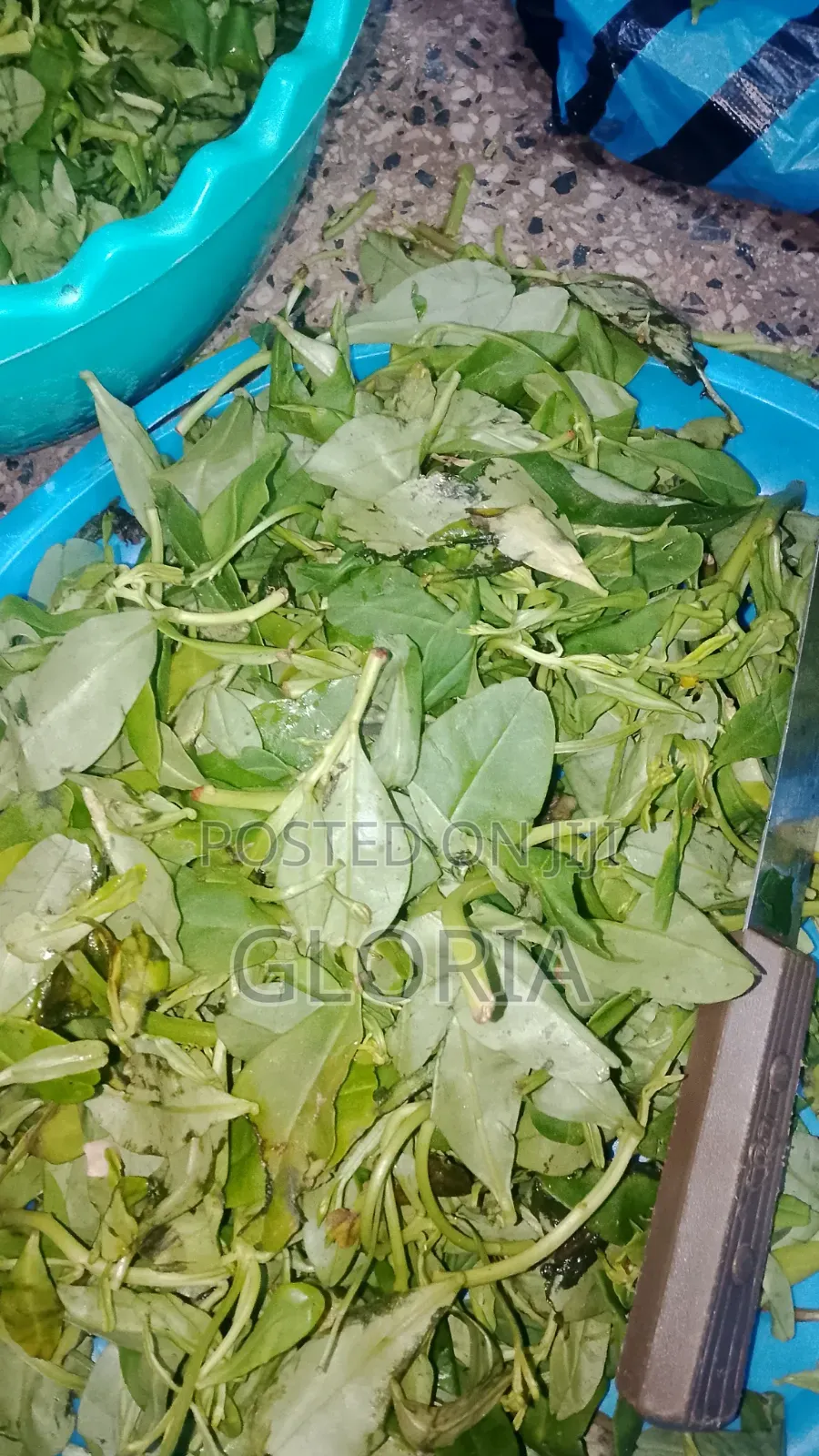 Wetarleaf (Vegetable)