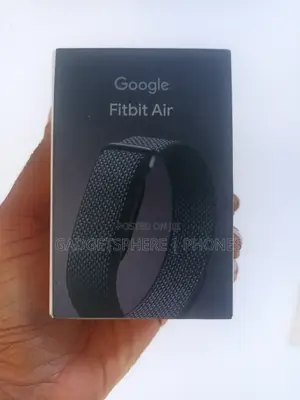 Google Fitbit Air