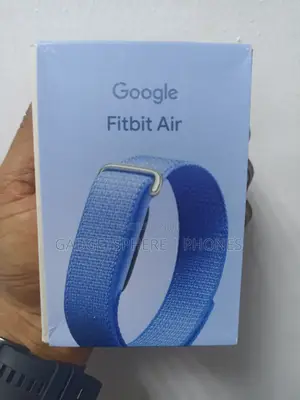 Google Fitbit Air