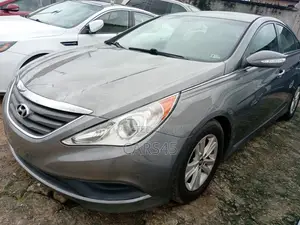 Hyundai Sonata 2014 Gray
