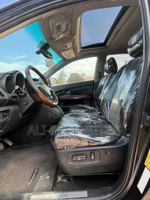 Lexus RX 2005 Gray