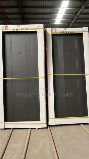 Luxury Brand New Steel Door