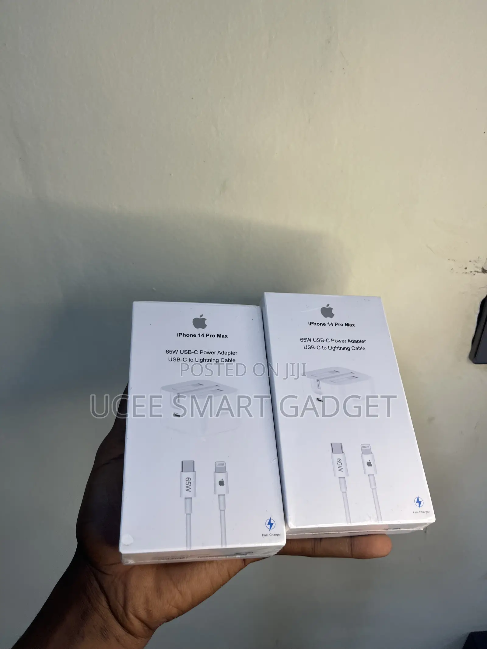 iPhone Charger (Original)