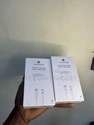 iPhone Charger (Original)