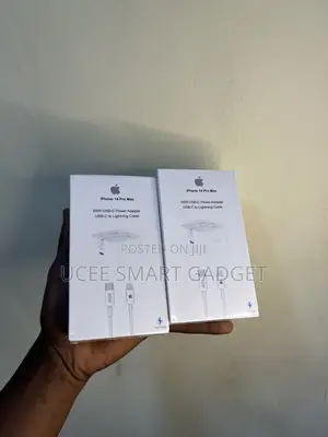 iPhone Charger (Original)