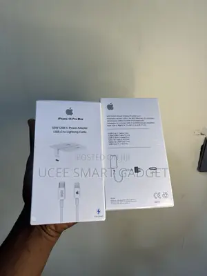 iPhone Charger (Original)