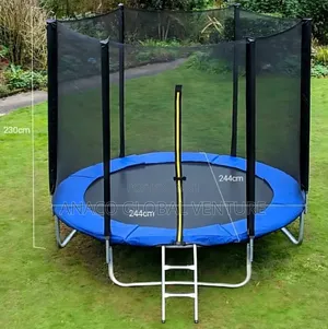 A Round Trampoline With Safety Enclosure/Net and Ladder.