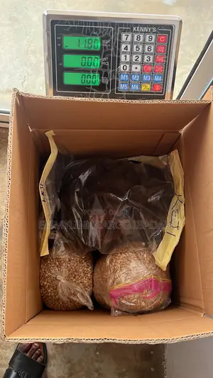 Cargo From Ibadan, Nigeria to South Africa