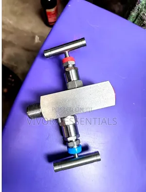 Stainless Steel 2-Way Block and Bleed Valve Manifold
