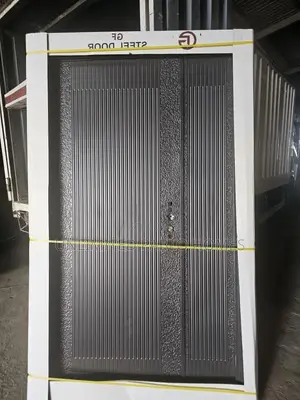 Luxury Brand New Steel Door