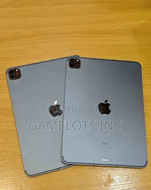 Apple iPad Pro 11 (2021) 256 GB Gray