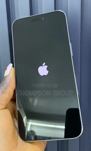 Apple iPhone 15 Pro Max 512 GB Silver
