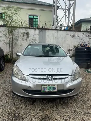 Peugeot 307 2007 Silver