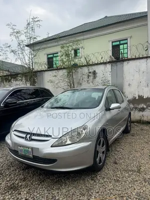 Peugeot 307 2007 Silver