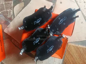 Original Brake Pads for GAC GS4 New Model
