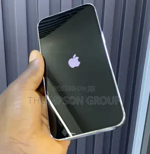 Apple iPhone 14 Pro Max 256 GB Silver