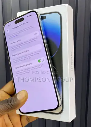 Apple iPhone 14 Pro Max 256 GB Silver